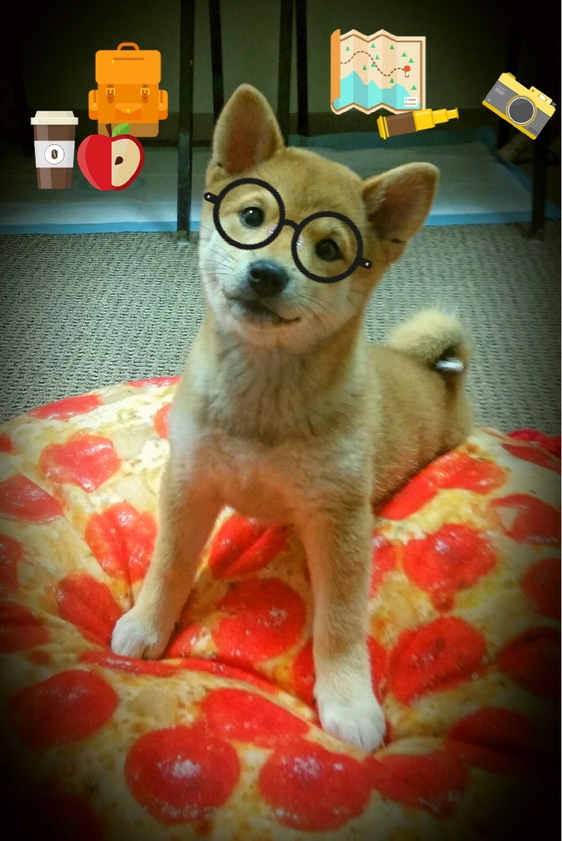 2016年季后赛:库里在勇士对阵雷霆的五场火爆逆转,2016年nba库里