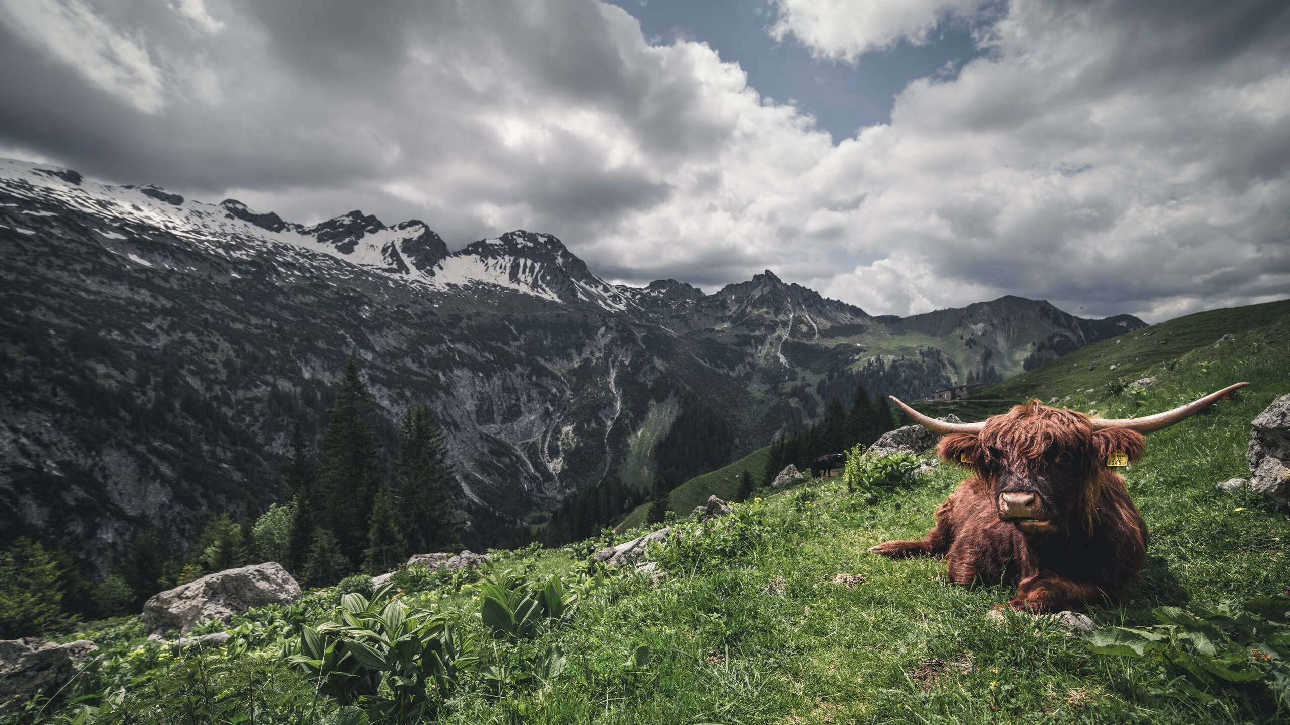 VALORANT 新地图赛场首现 选手适应成关键，valorant比赛规则