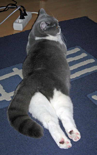 【战术解析】丁俊晖如何利用攻守策略掌控全场，丁俊晖球技到底如何